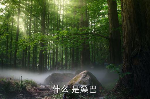 什么 是桑巴