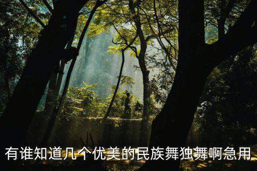 有谁知道几个优美的民族舞独舞啊急用