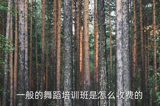 一般的舞蹈培训班是怎么收费的