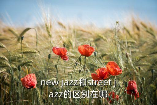 new jazz和street jazz的区别在哪
