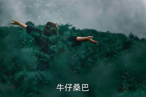 桑巴和牛仔的相同点是什么，恰恰舞与桑巴区别是什么