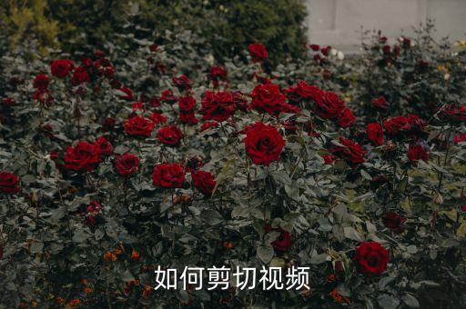 如何剪切视频