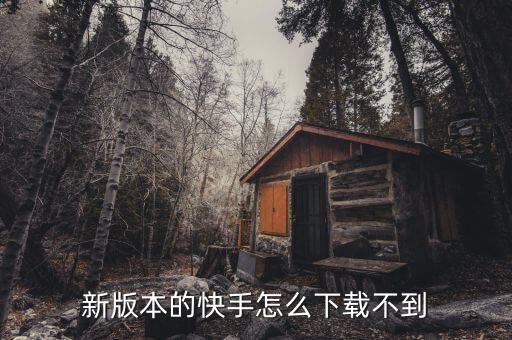 新版本的快手怎么下载不到