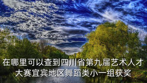 在哪里可以查到四川省第九届艺术人才大赛宜宾地区舞蹈类小一组获奖