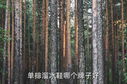 溜冰鞋清月和洛神哪个好，轮滑鞋FreeStyle GT和清月NR哪个好详细说明谢谢