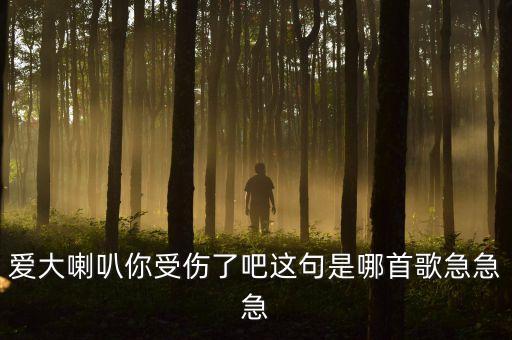 爱大喇叭你受伤了吧这句是哪首歌急急急