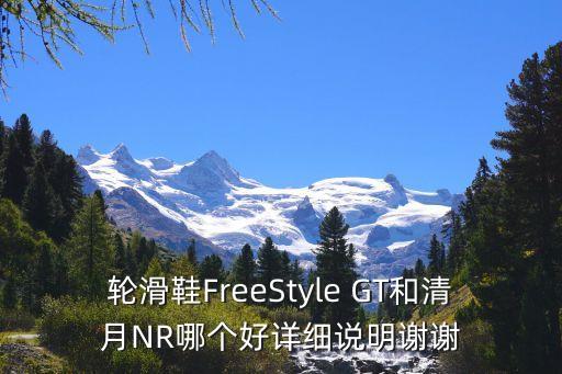 轮滑鞋FreeStyle GT和清月NR哪个好详细说明谢谢