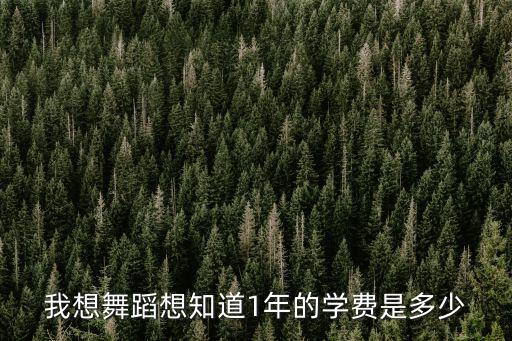 我想舞蹈想知道1年的学费是多少