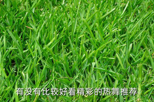 最近好看的舞蹈视频大全，求几个比较好的舞蹈视频越多越好