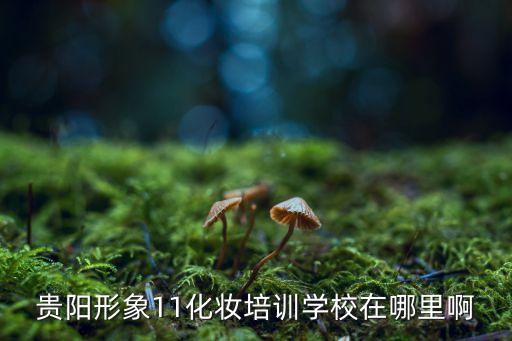 贵阳形象11化妆培训学校在哪里啊