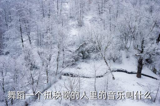 舞蹈一个扭秧歌的人里的音乐叫什么