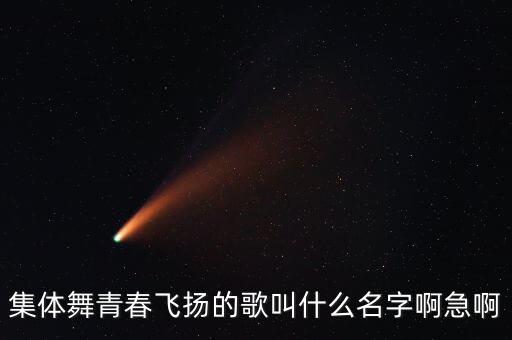 集体舞青春飞扬的歌叫什么名字啊急啊