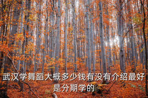 武汉学舞蹈大概多少钱有没有介绍最好是分期学的