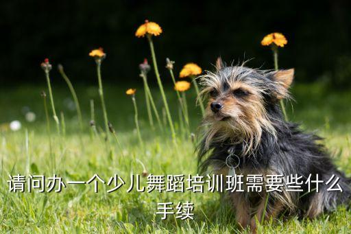 请问办一个少儿舞蹈培训班需要些什么手续