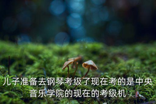 孩子报什么班考级，儿子准备去钢琴考级了现在考的是中央音乐学院的现在的考级机