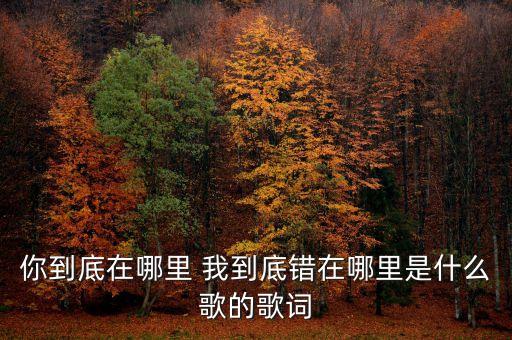 龙飞演唱的你在哪里，歌词里有一句三月的细雨像醉人的恋曲这首歌叫什么名字二重唱