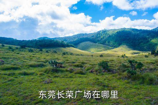东莞长荣广场在哪里