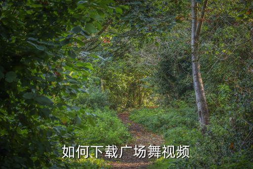 如何下载广场舞视频