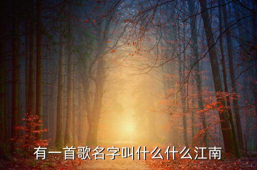 有一首歌名字叫什么什么江南