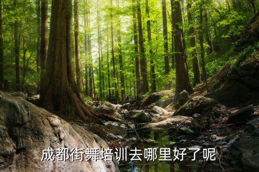 成都街舞培训去哪里好了呢