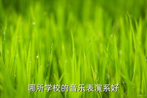 哪所学校的音乐表演系好