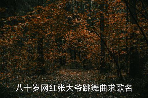 八十岁网红张大爷跳舞曲求歌名
