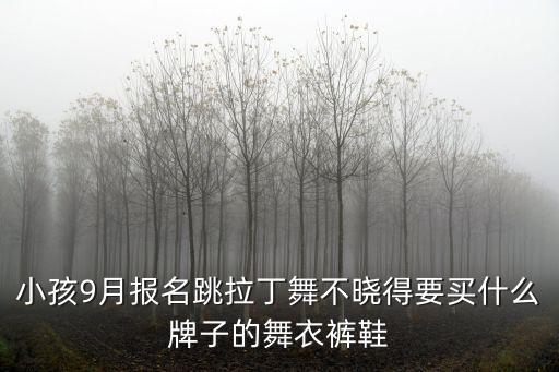 舞蹈用品什么牌子的，哪个牌子的舞蹈用品比较好