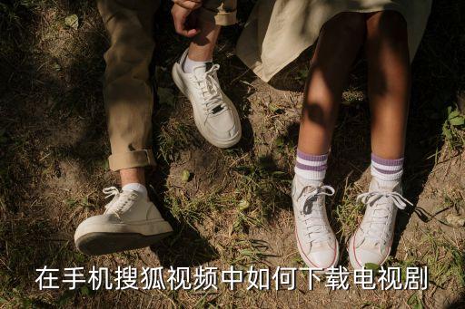 在手机搜狐视频中如何下载电视剧