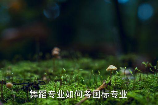 舞蹈专业如何考国标专业