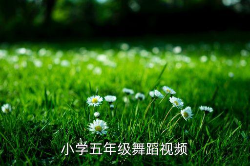 小学五年级舞蹈视频