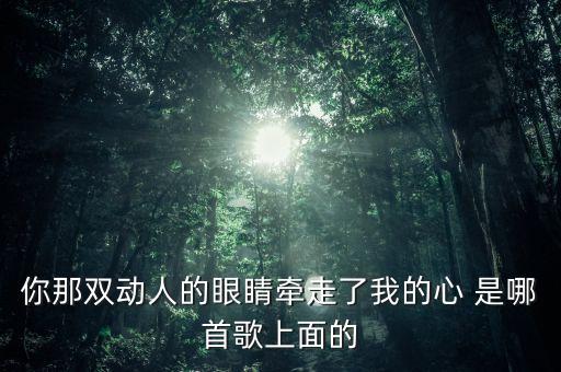 你那双动人的眼睛牵走了我的心 是哪首歌上面的