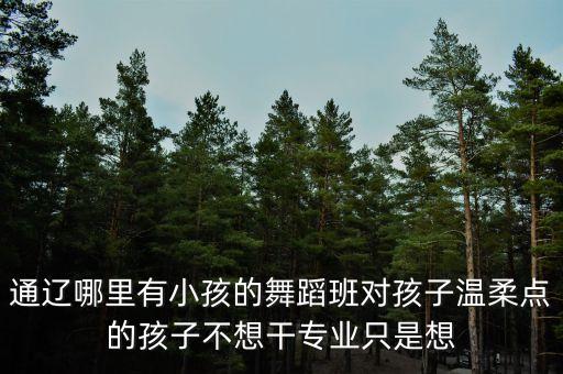 通辽哪里有小孩的舞蹈班对孩子温柔点的孩子不想干专业只是想