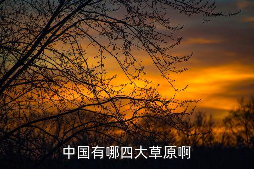中国有哪四大草原啊