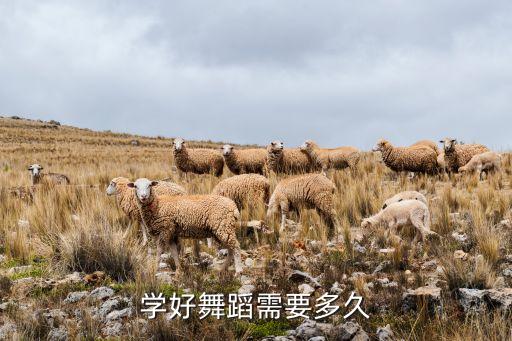 学好舞蹈需要多久