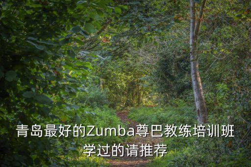 青岛最好的Zumba尊巴教练培训班学过的请推荐