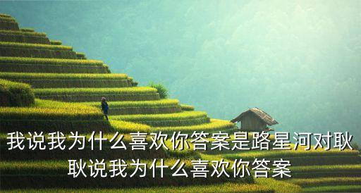 我说我为什么喜欢你答案是路星河对耿耿说我为什么喜欢你答案