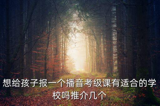 想给孩子报一个播音考级课有适合的学校吗推介几个