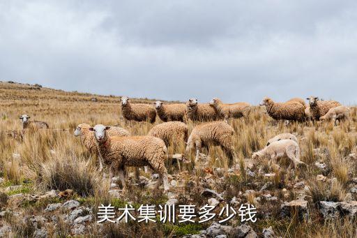 美术集训要多少钱