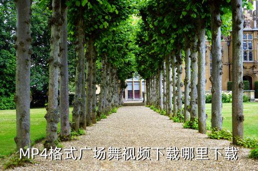 MP4格式广场舞视频下载哪里下载