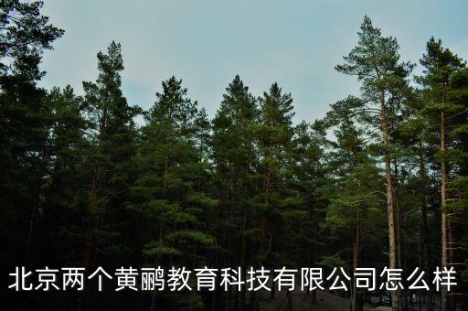 北京两个黄鹂教育科技有限公司怎么样