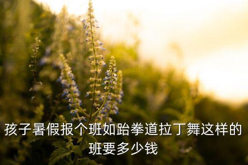 孩子暑假报个班如跆拳道拉丁舞这样的班要多少钱