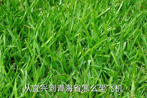从宜兴到青海省怎么坐飞机