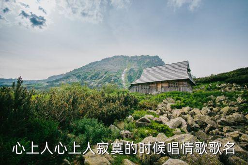 寂寞的人唱情歌是什么歌，心上人心上人寂寞的时候唱情歌歌名