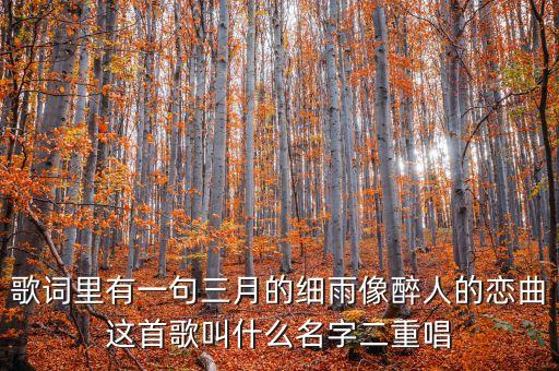 歌词里有一句三月的细雨像醉人的恋曲这首歌叫什么名字二重唱
