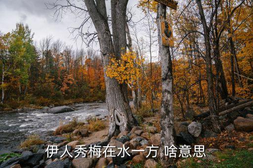形体舞在水一方教学3，舞蹈 在水一方的动作解析 动作分析
