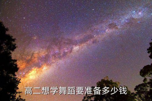 高二舞蹈集训需要多少钱费用，我们学校艺体生高二集训要收费只要是在外面培训机构学的不是在学