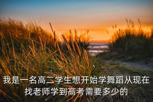 我是一名高二学生想开始学舞蹈从现在找老师学到高考需要多少的
