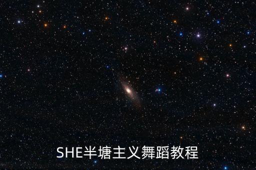 SHE半塘主义舞蹈教程