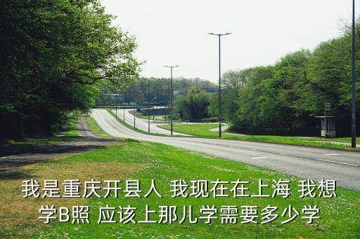 我是重庆开县人 我现在在上海 我想学B照 应该上那儿学需要多少学