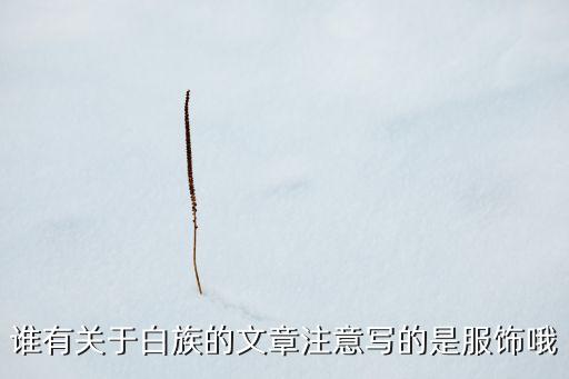 谁有关于白族的文章注意写的是服饰哦